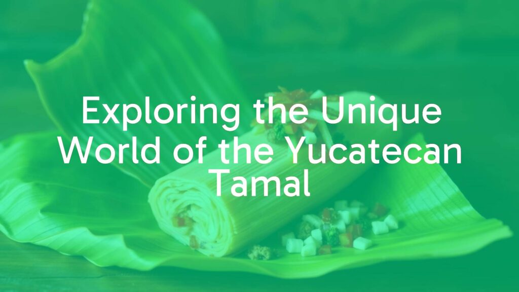 Exploring the Unique World of the Yucatecan Tamal